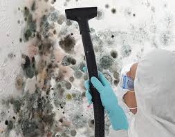 Why You Should Choose Our Mold Remediation Services in Atascadero, CA